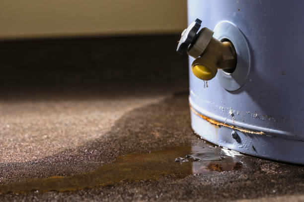 Best Water Damage Assessment and Inspection in Benton, TN